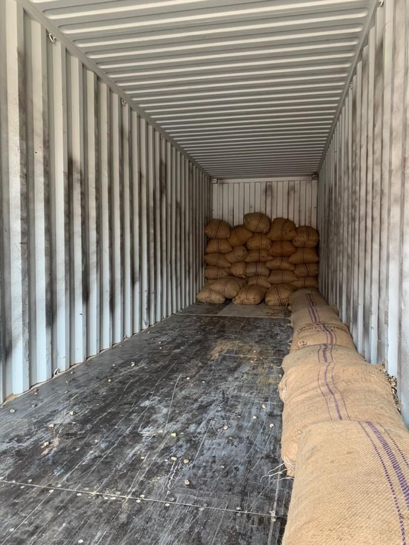 Shipping container being loaded with sacks of produce
